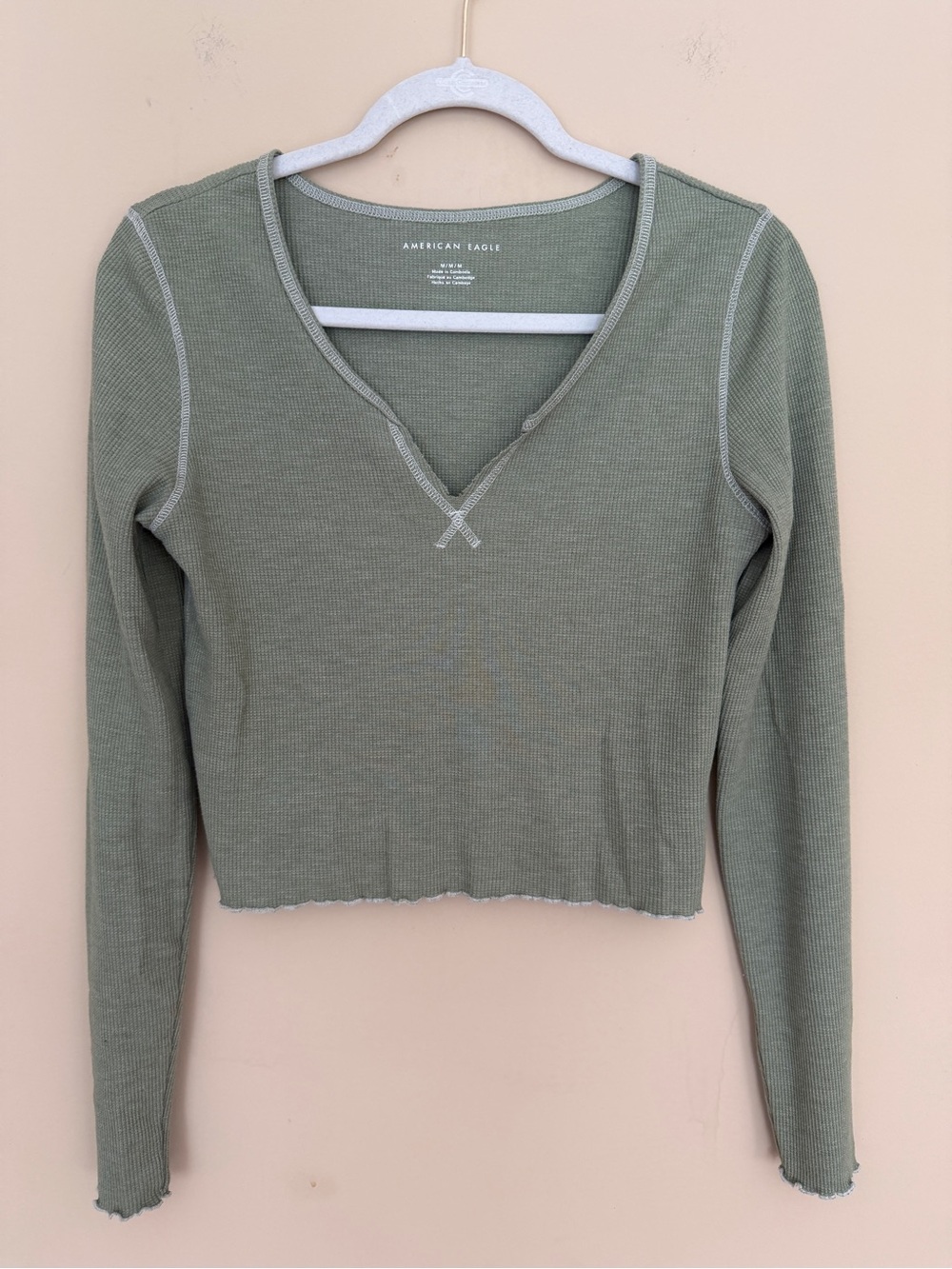 American Eagle Outfitters Long-Sleeve V-Neck Crop Top